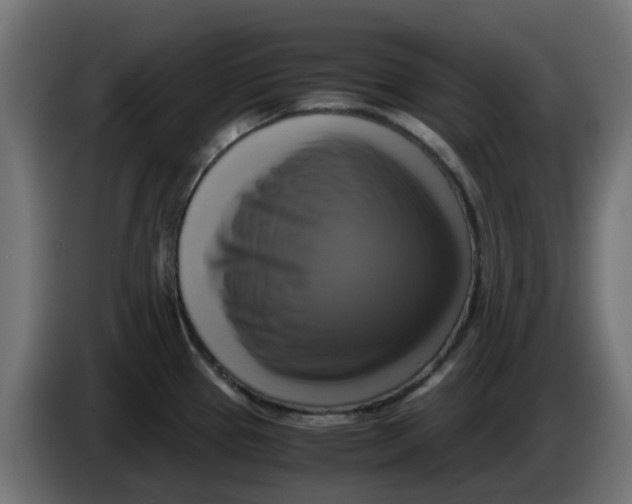 X0000083561337200703021708