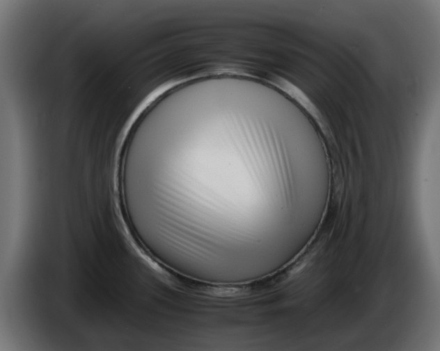 X0000083561339200703021708