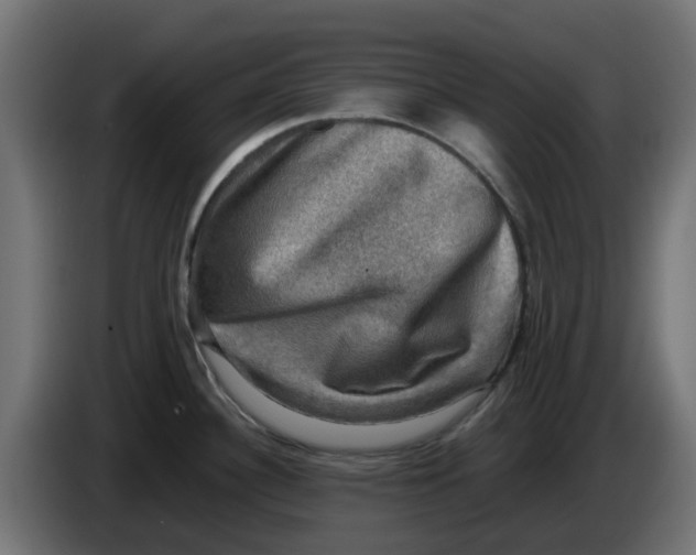 X0000083561340200703021708