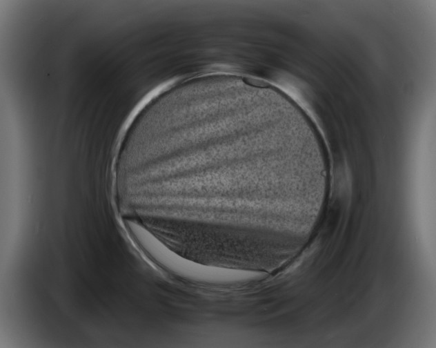 X0000083561341200703021708