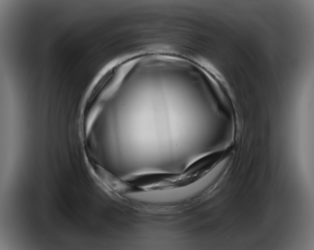 X0000083561342200703021708