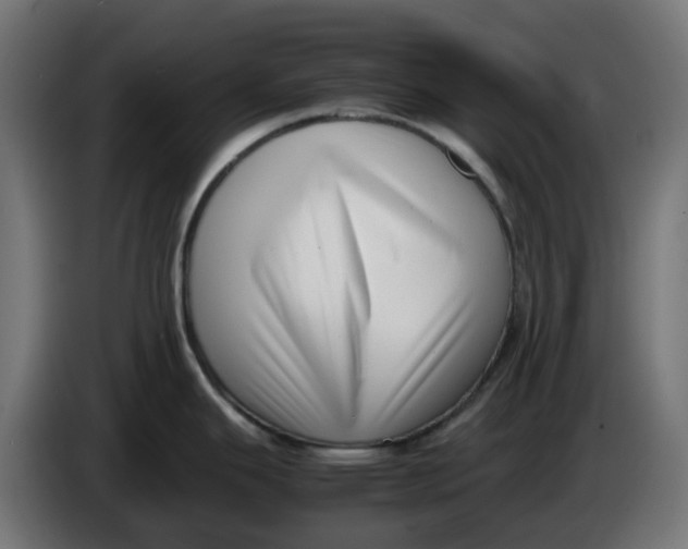 X0000083561343200703021708