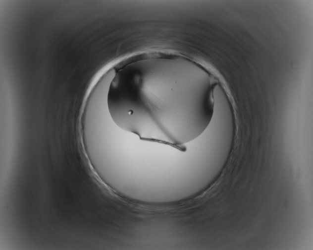 X0000083561344200703021708