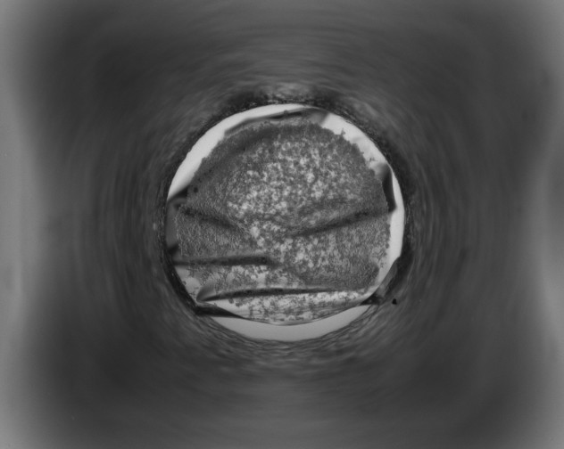 X0000083561345200703021707