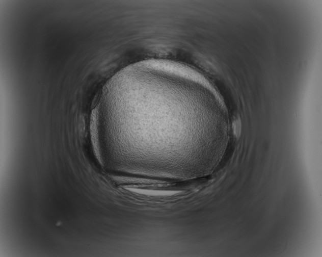 X0000083561347200703021707