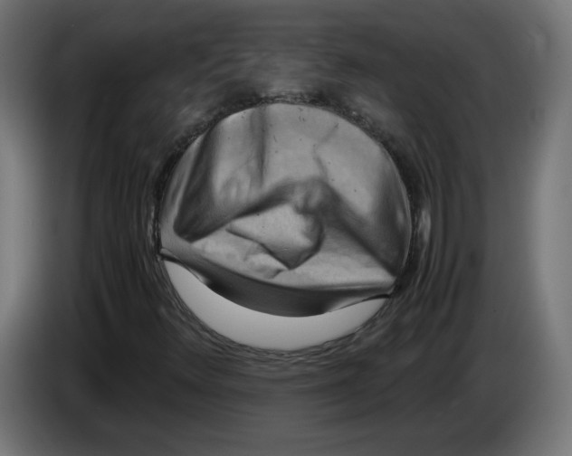 X0000083561348200703021707