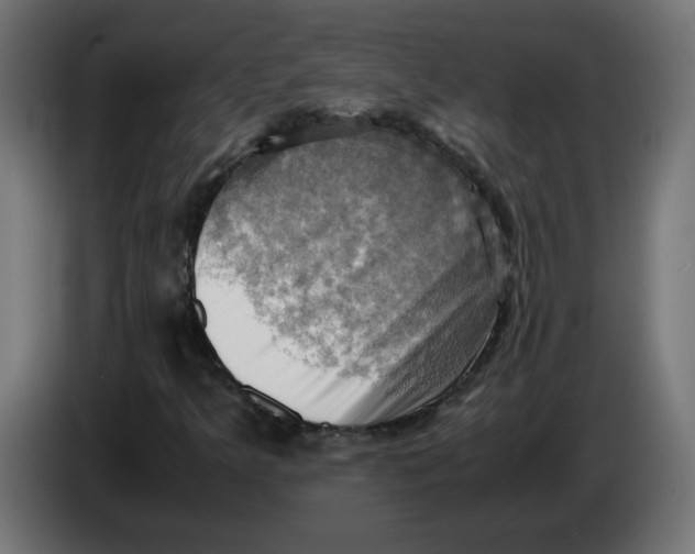 X0000083561349200703021707