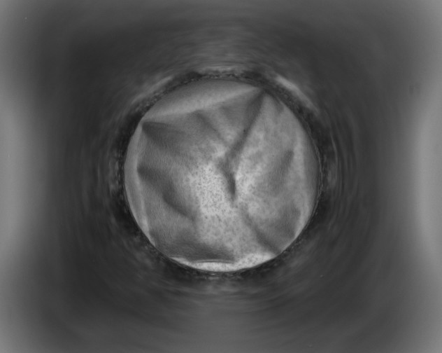 X0000083561350200703021707