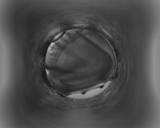 X0000083561351200703021707