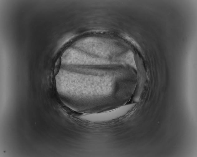 X0000083561352200703021707