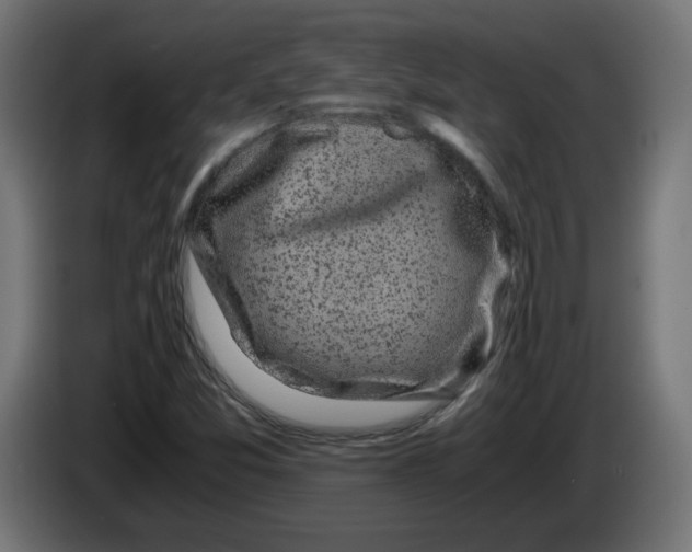 X0000083561357200703021707