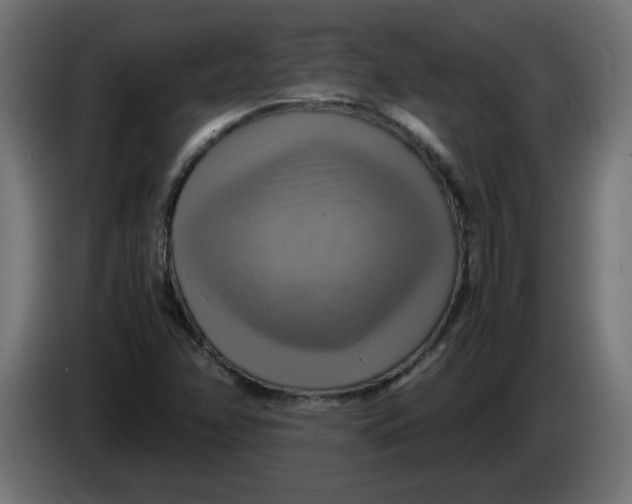 X0000083561358200703021707