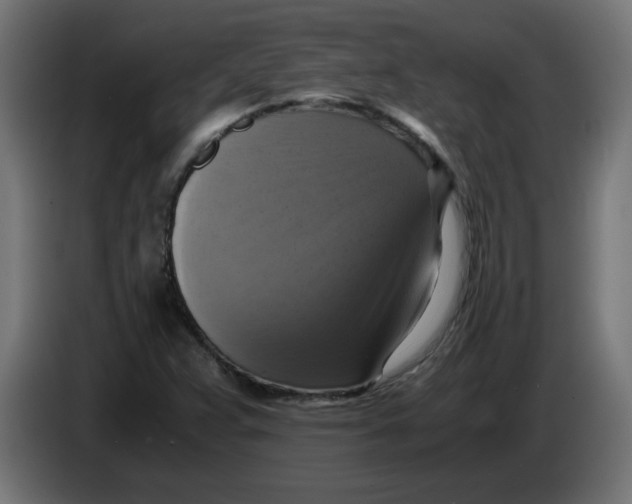 X0000083561359200703021707