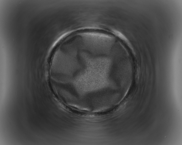 X0000083561360200703021707