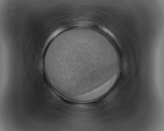 X0000083561362200703021707