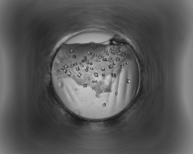 X0000083561363200703021707