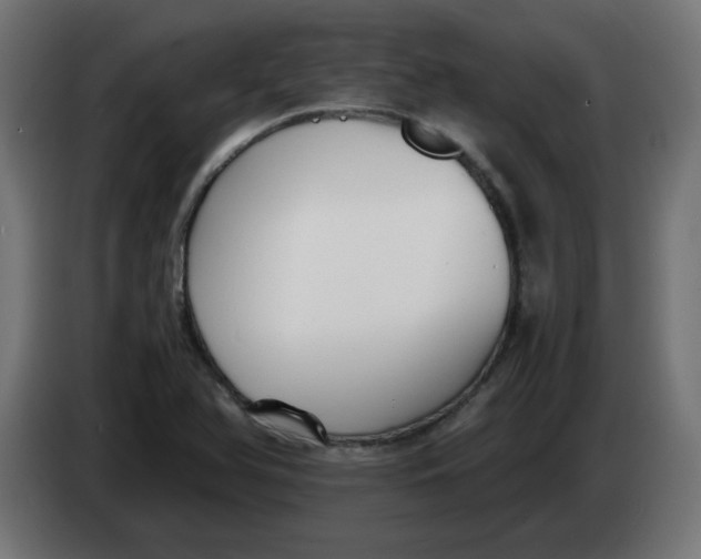 X0000083561366200703021707