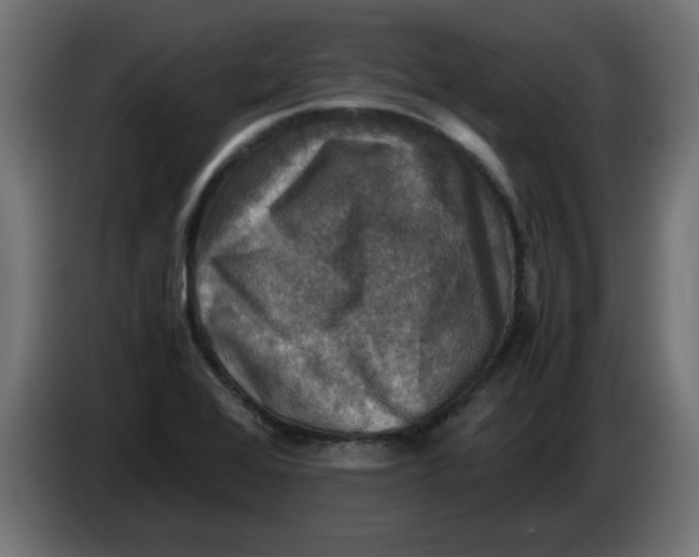 X0000083561368200703021707