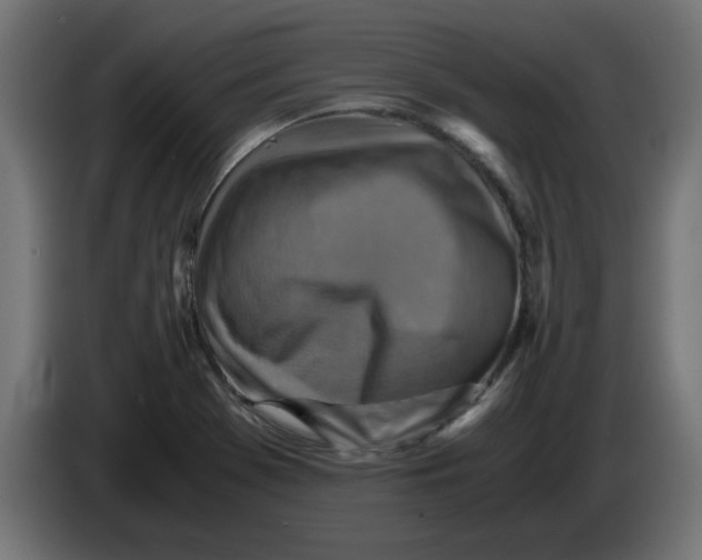 X0000083561369200703021707