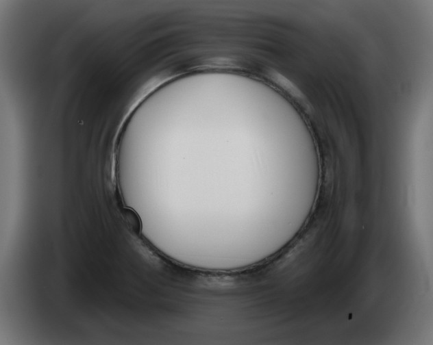 X0000083561370200703021707