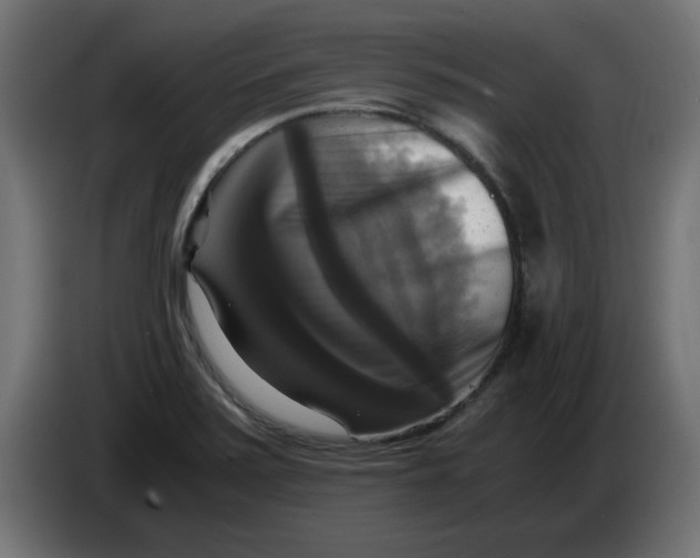 X0000083561371200703021707