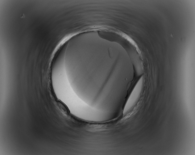 X0000083561373200703021707