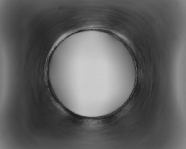 X0000083561374200703021707