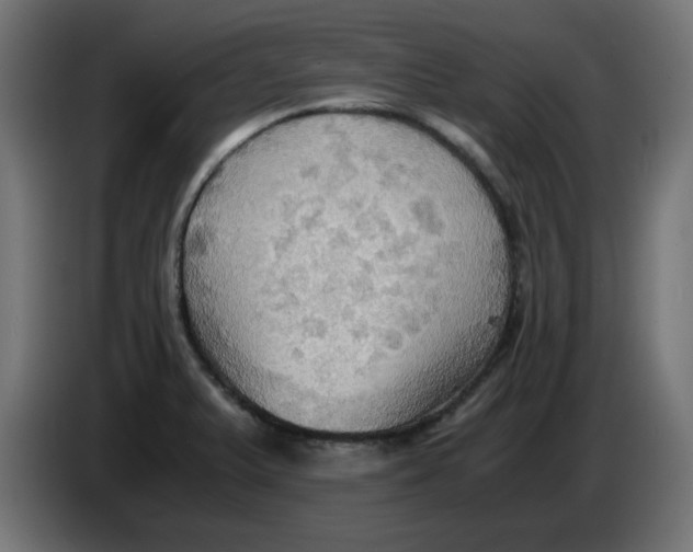 X0000083561375200703021707