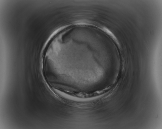 X0000083561376200703021707