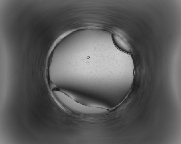 X0000083561379200703021706