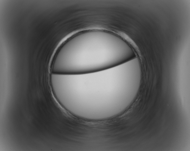 X0000083561380200703021706