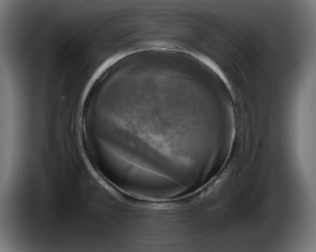 X0000083561381200703021706