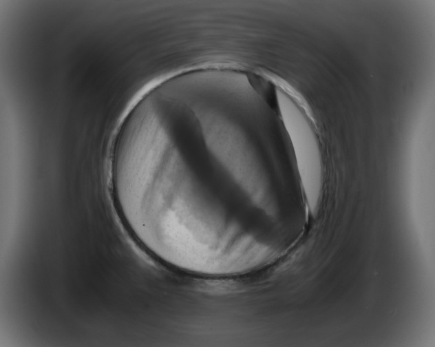 X0000083561383200703021706