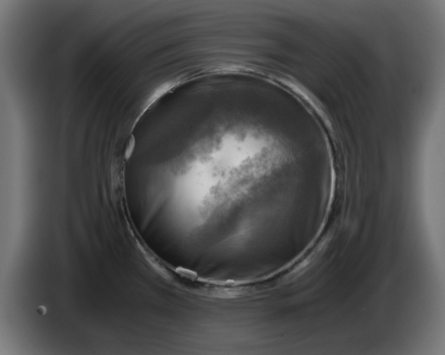 X0000083561385200703021706