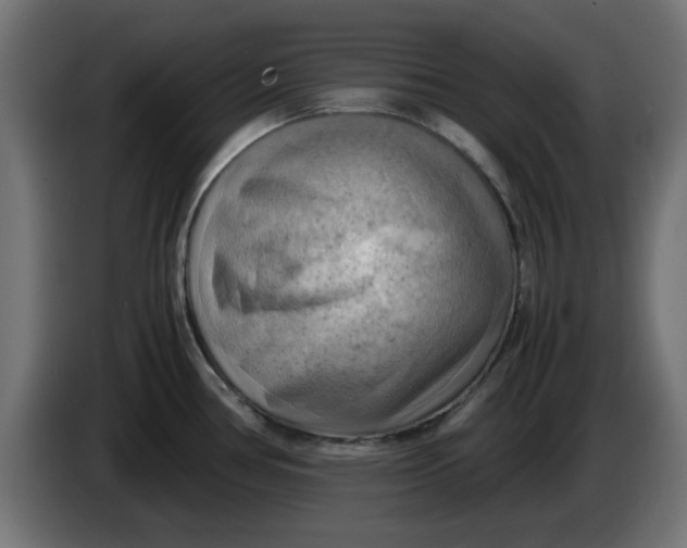 X0000083561386200703021706