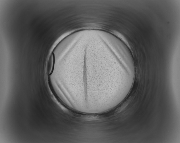 X0000083561387200703021706