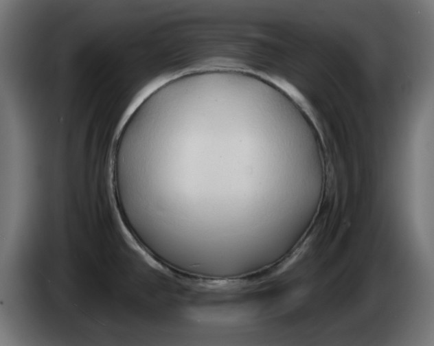 X0000083561390200703021706