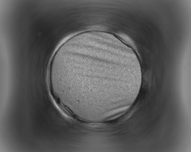 X0000083561391200703021706