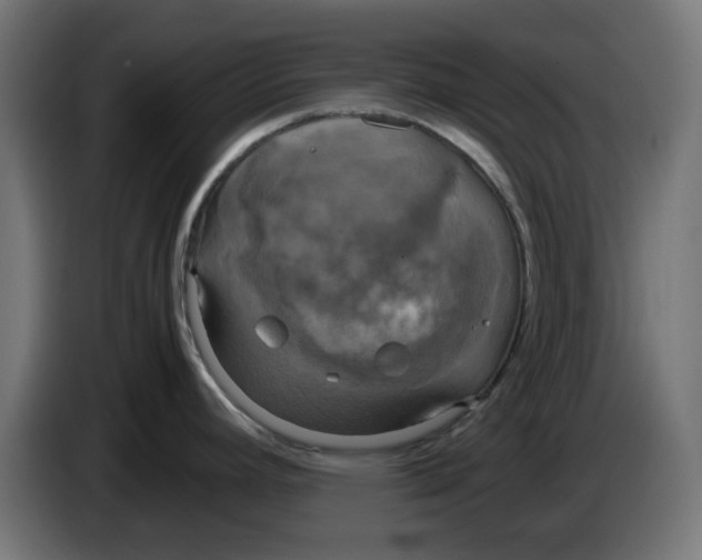 X0000083561392200703021706