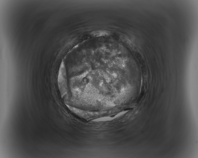 X0000083561393200703021705