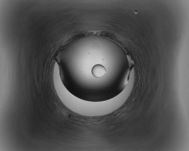 X0000083561394200703021705