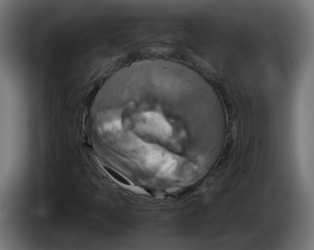 X0000083561397200703021705