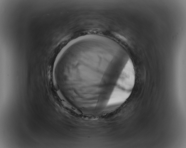 X0000083561399200703021706