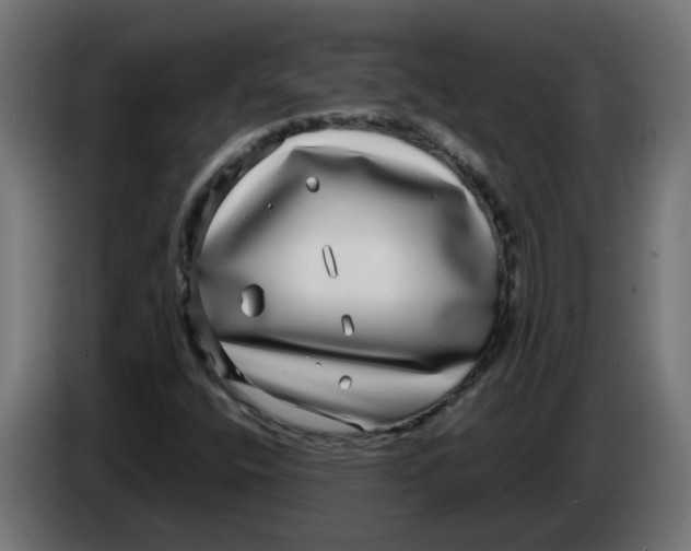 X0000083561400200703021706