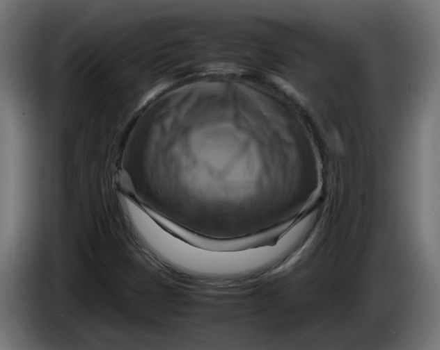 X0000083561401200703021706