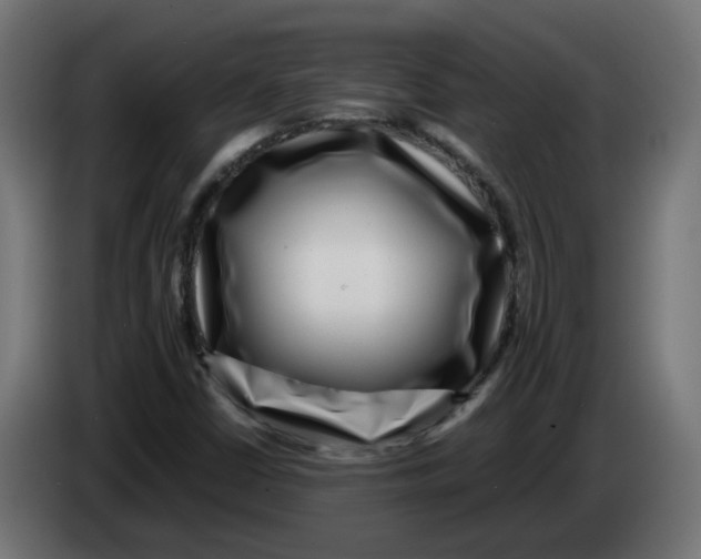 X0000083561402200703021706