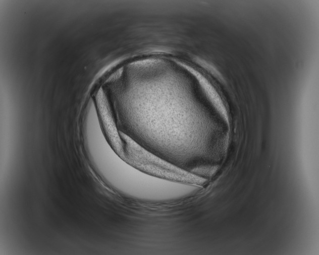 X0000083561404200703021706