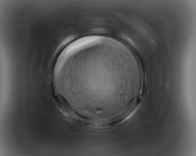 X0000083561405200703021706