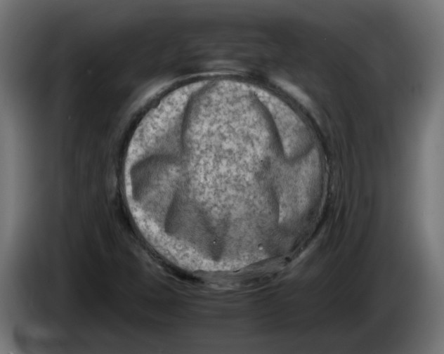 X0000083561407200703021706