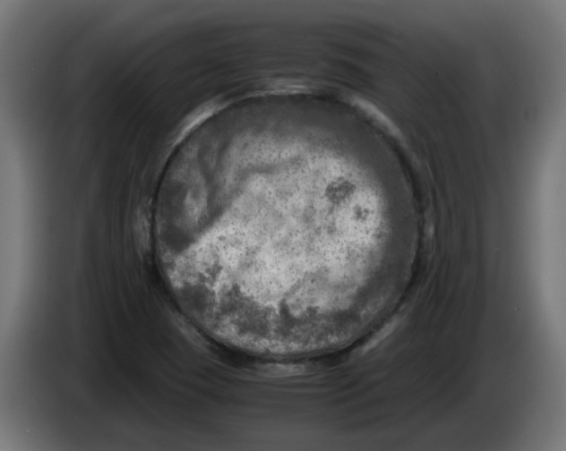 X0000083561409200703021706